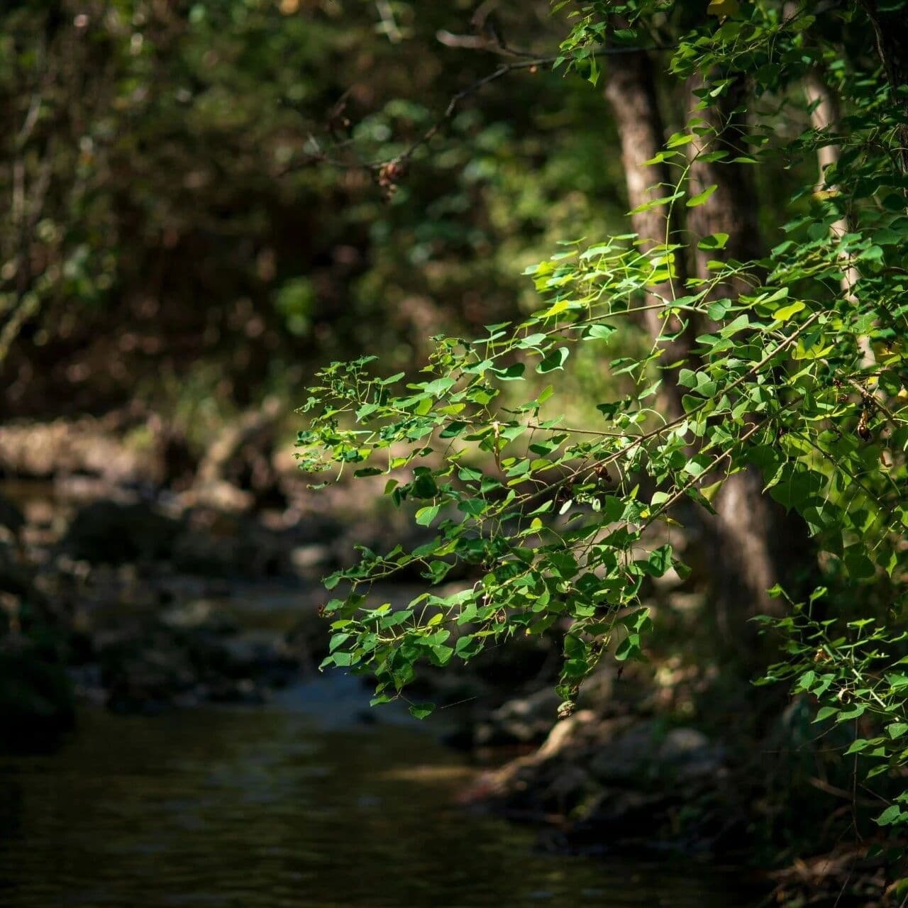 支配欲比占有欲更容易包装成美德。