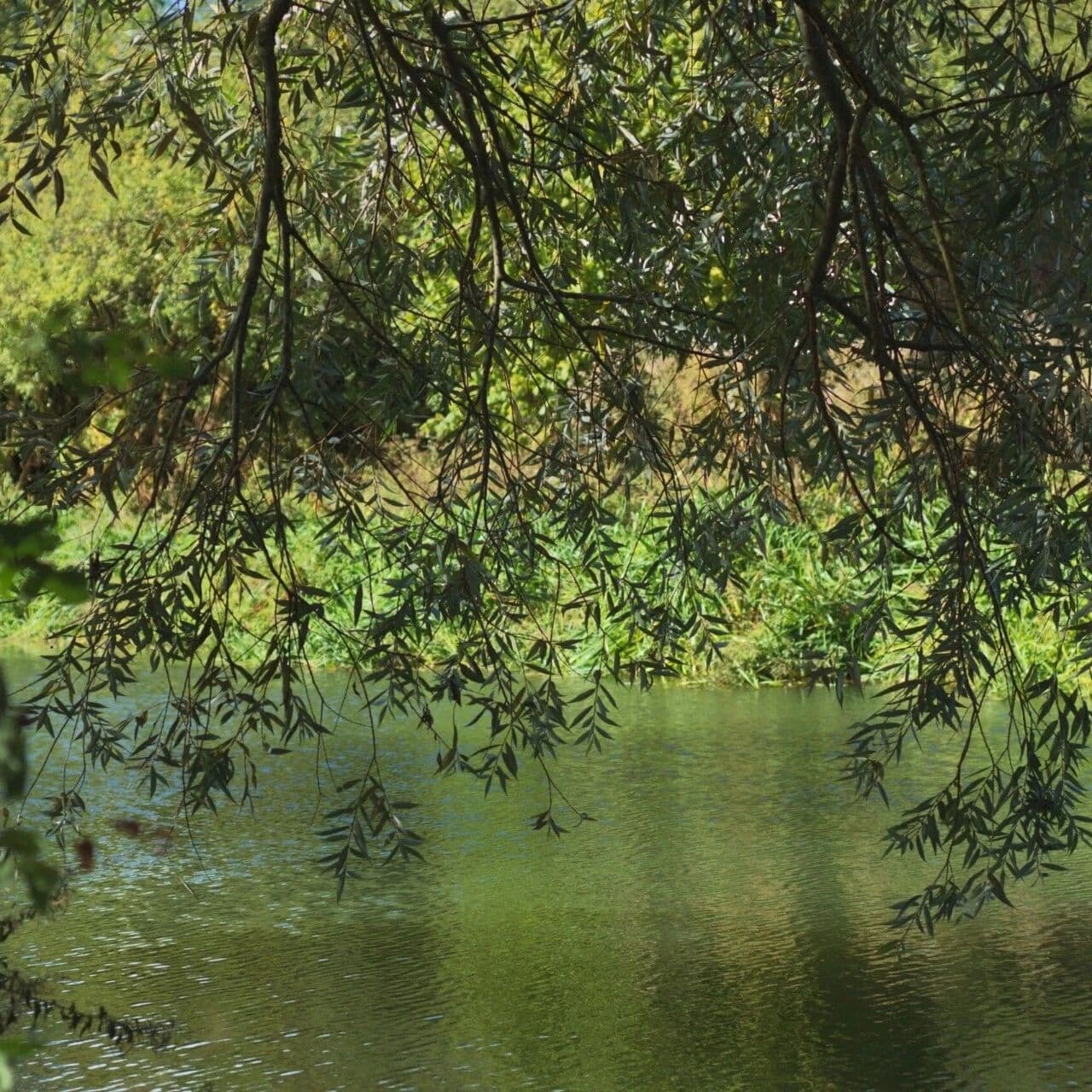 资料：十神正印篇。