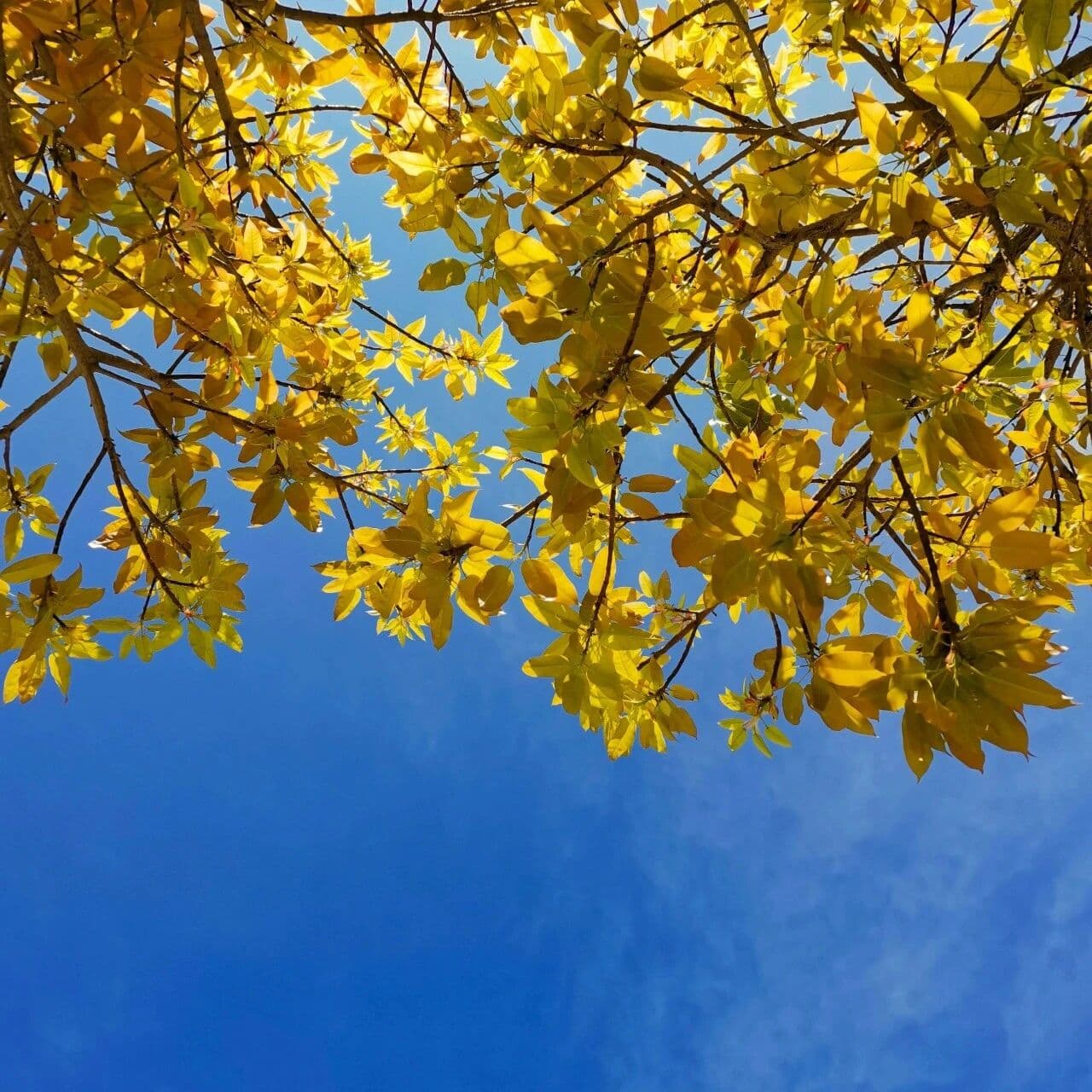 你在我这，比你以为的还要值得。