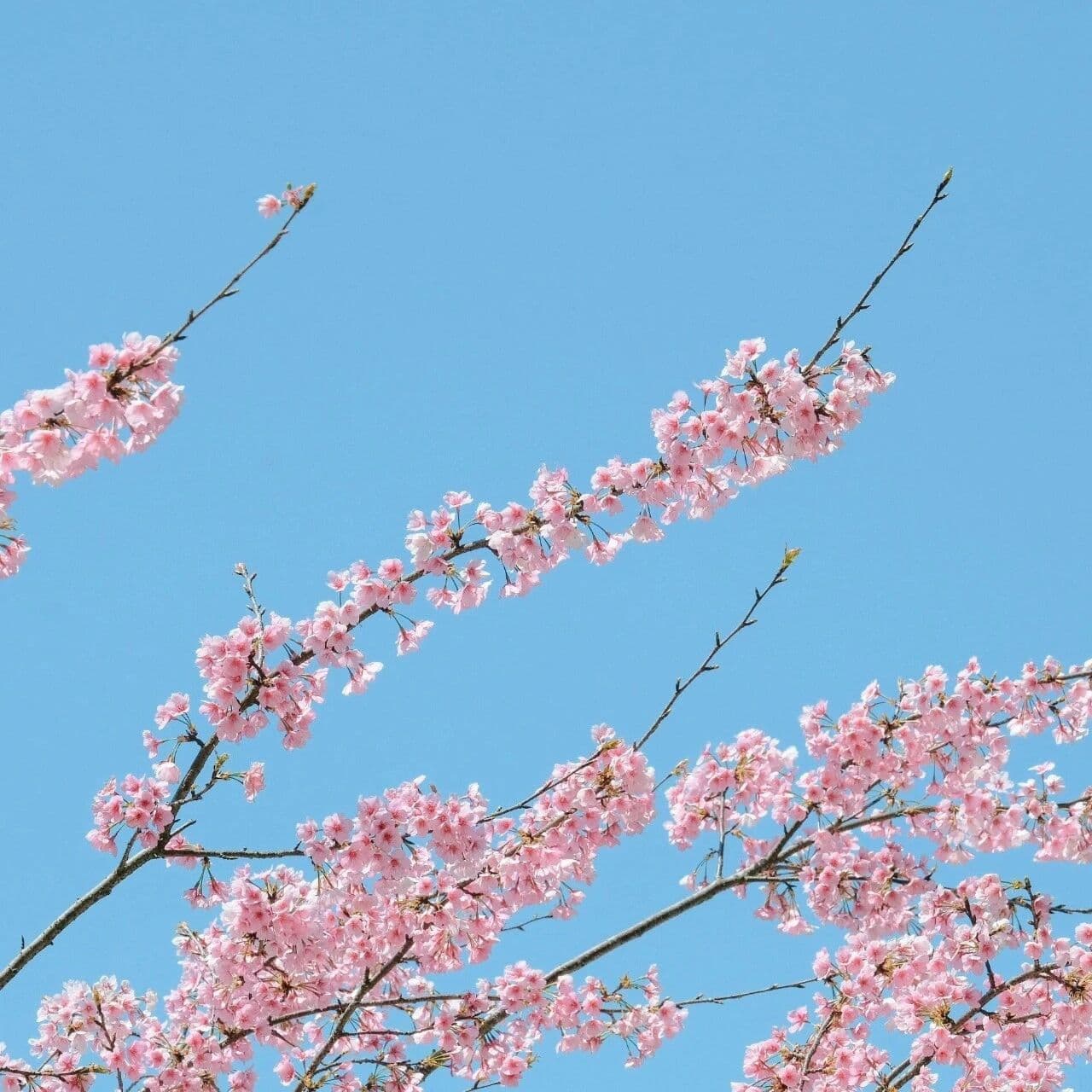 墓库的暗黑面与子午卯酉之凶。