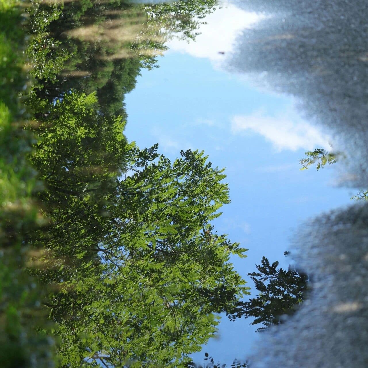 比已读不回更残酷的事。