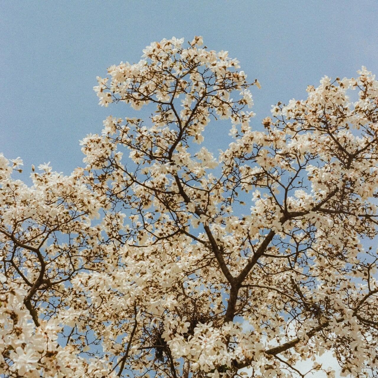 真有人信，觉得是爱。