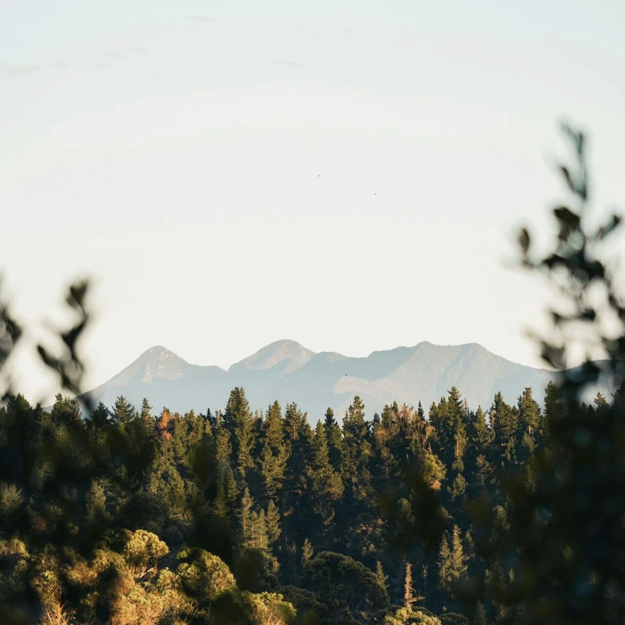 讨好的“侵略性”与捞男的复杂情局。