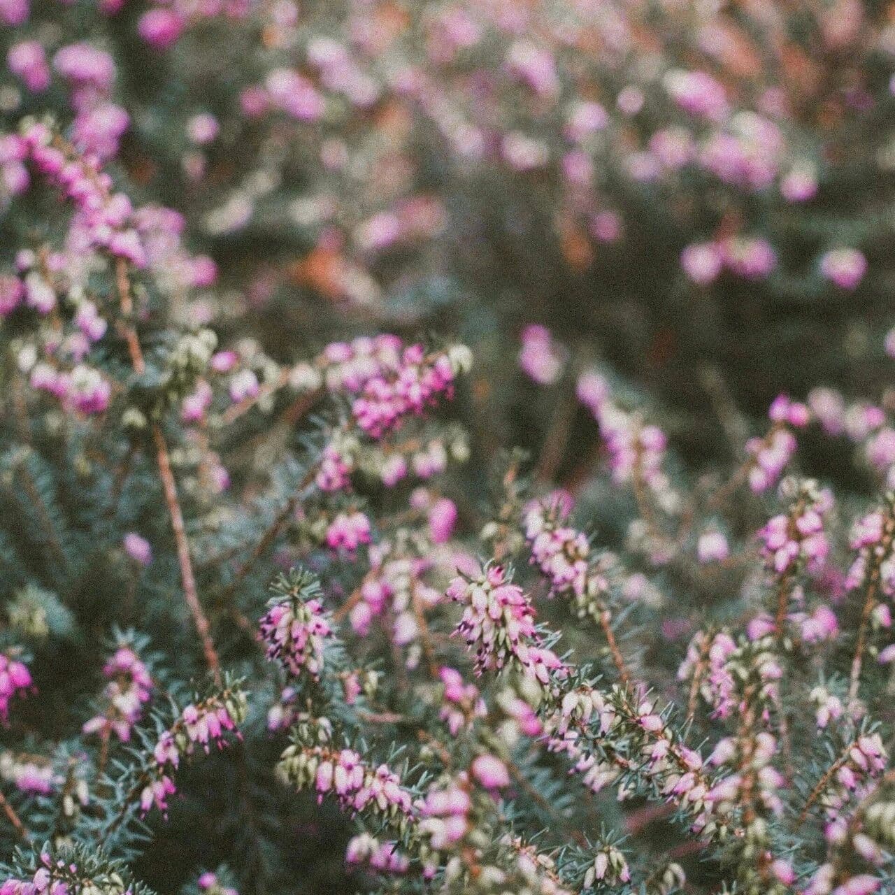 就看你要不要这把剑。