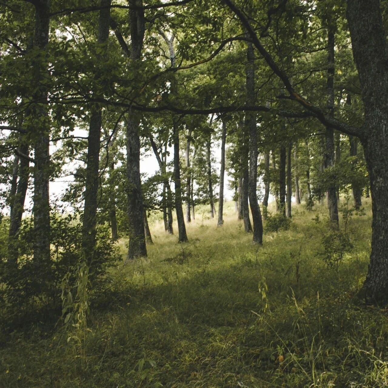 识货与认账之间，并不相关。