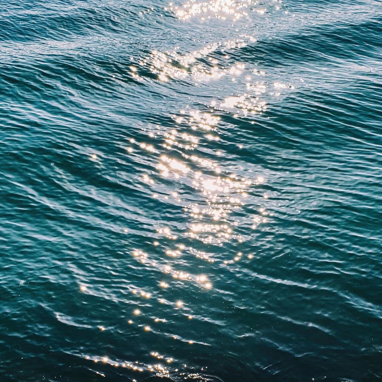 愚可救，昧难医。