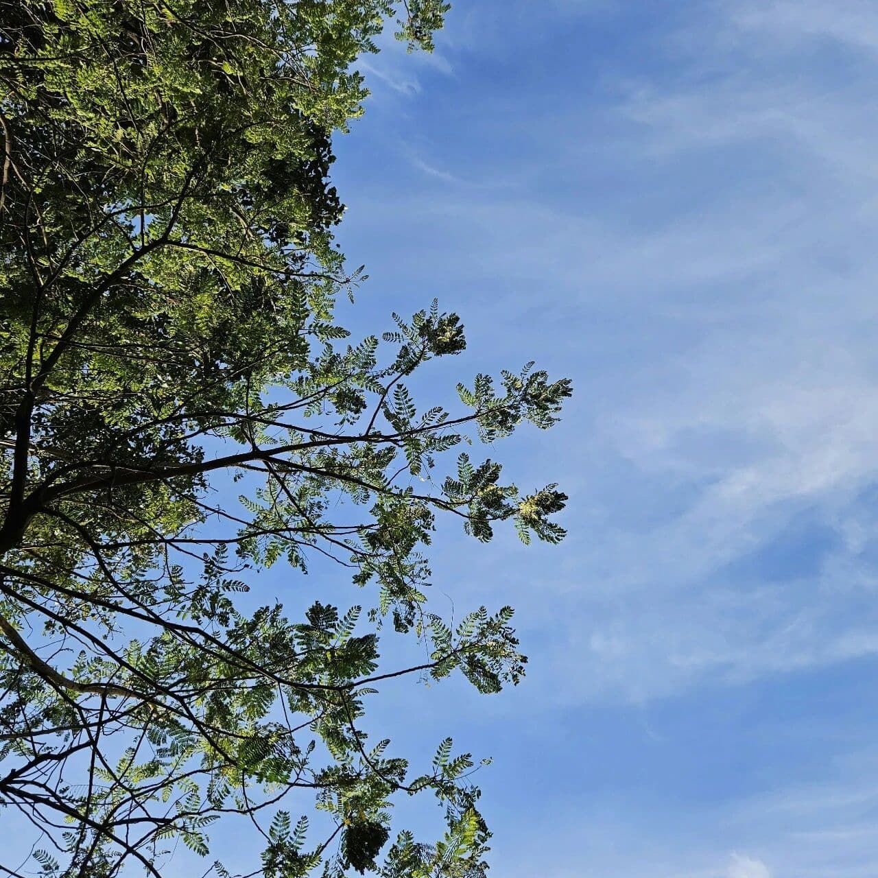 被免费接住，很难。