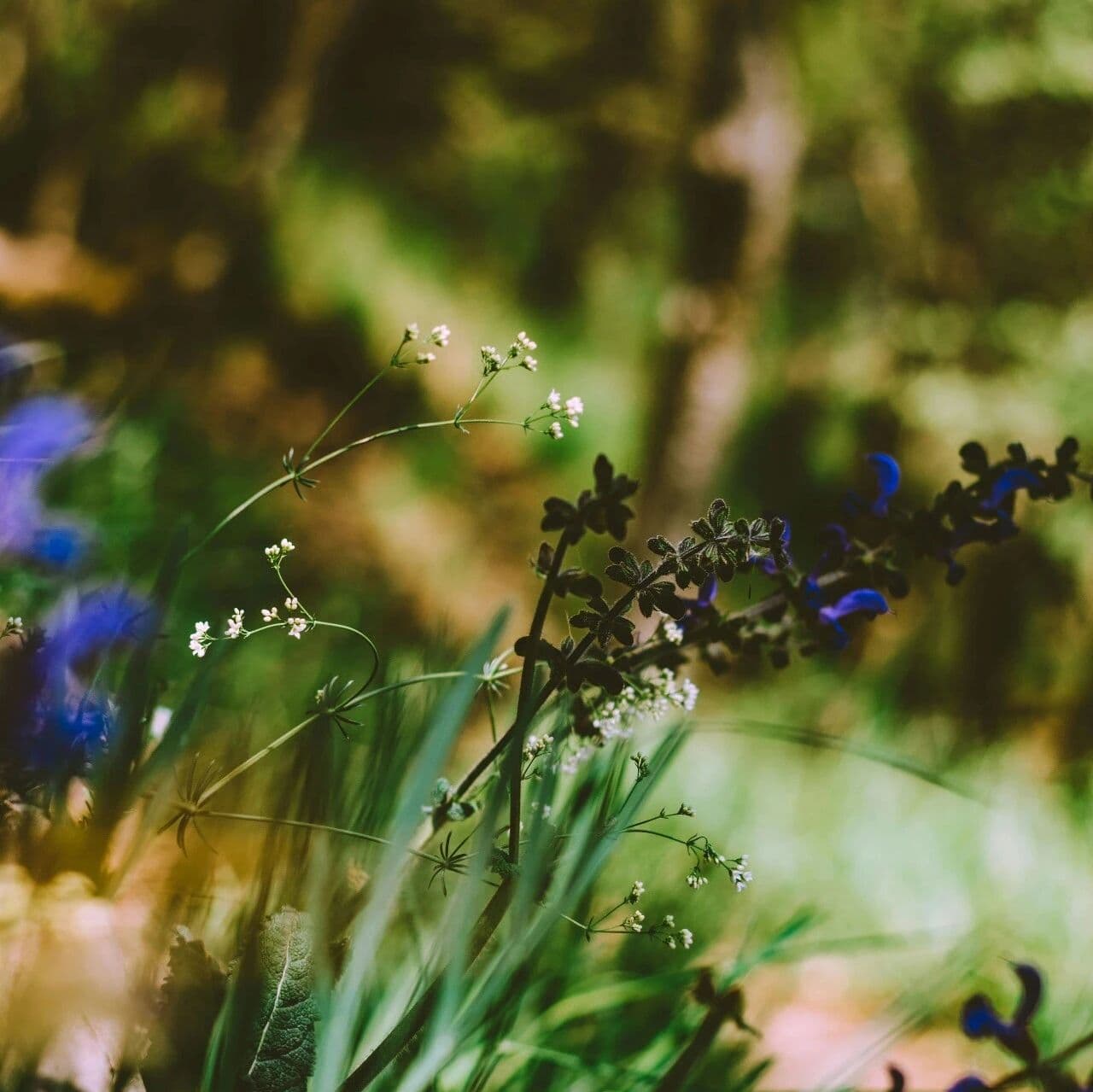 世间万法与其气象。