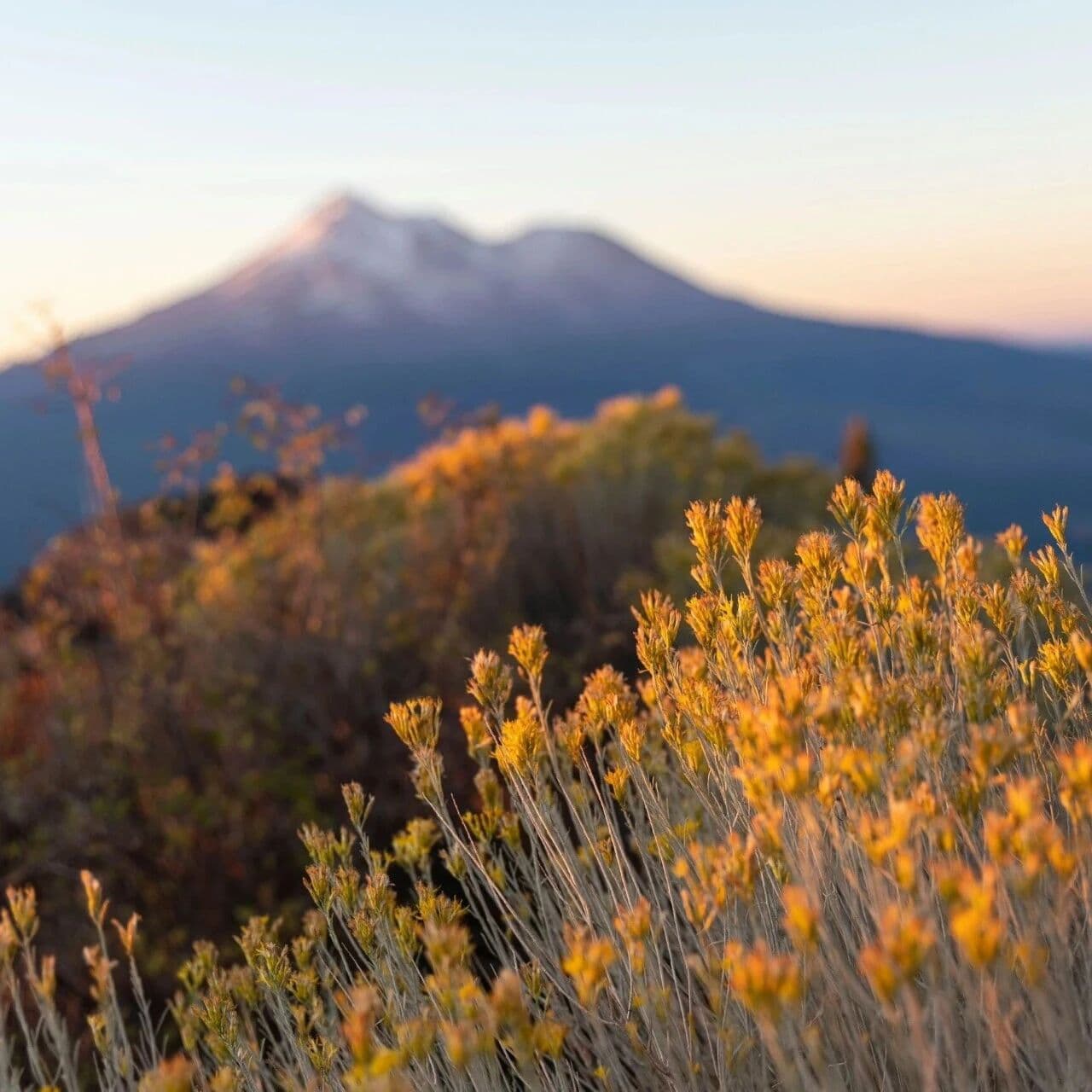 子平术为什么以日干为“我”？