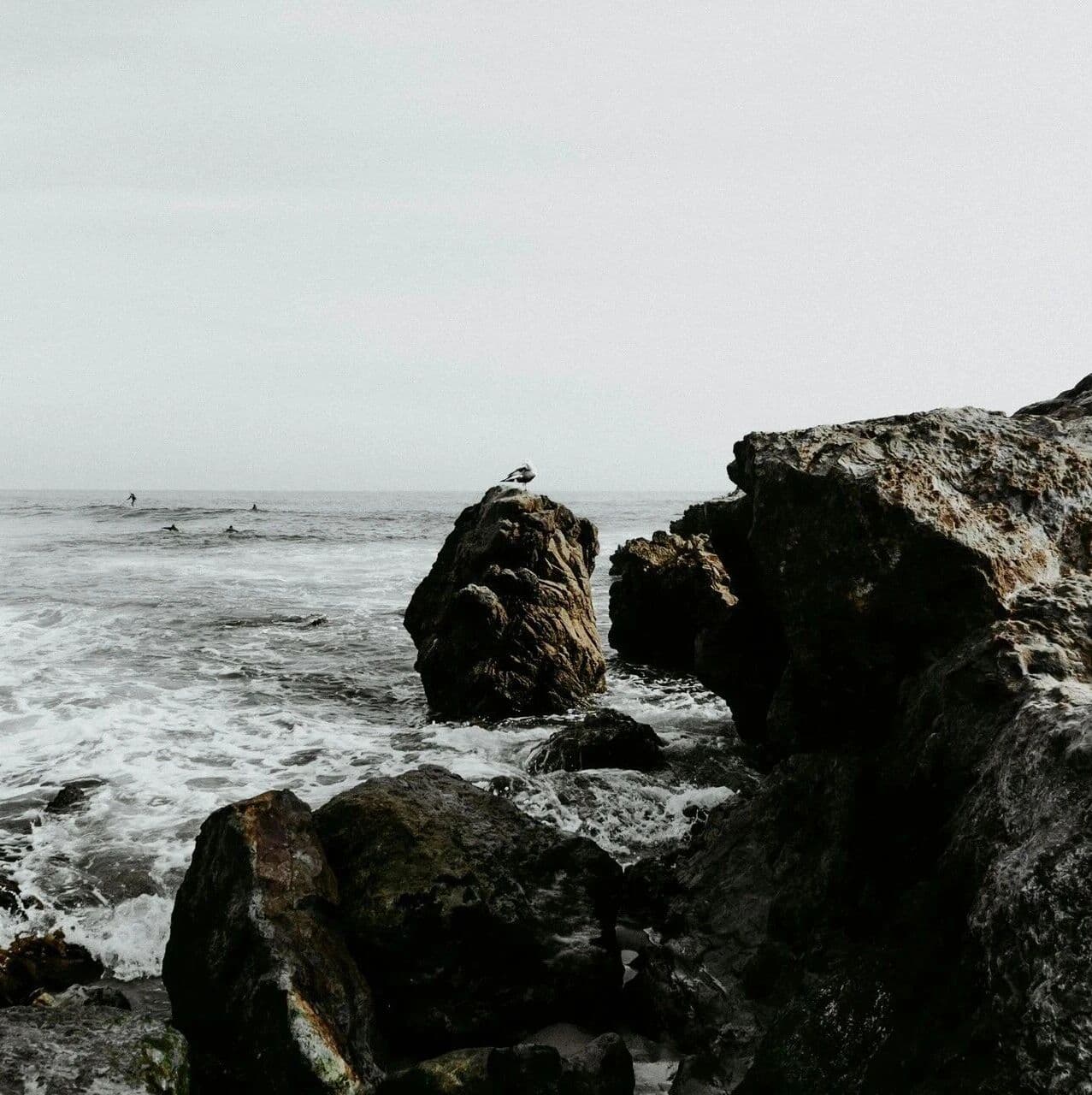 资料：十神正官篇。