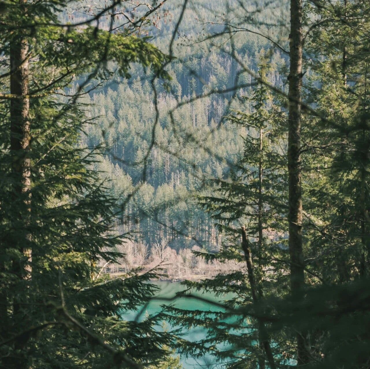 伤官旺而为忌的外耗型人格。