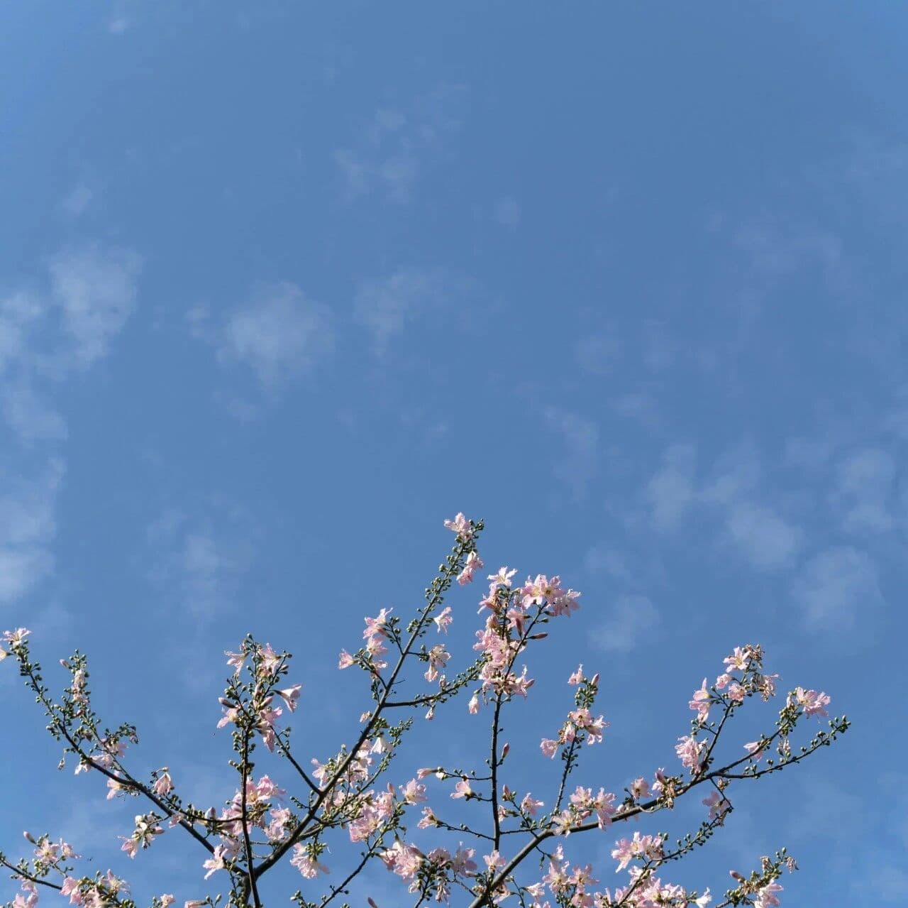 评估关系的视角。