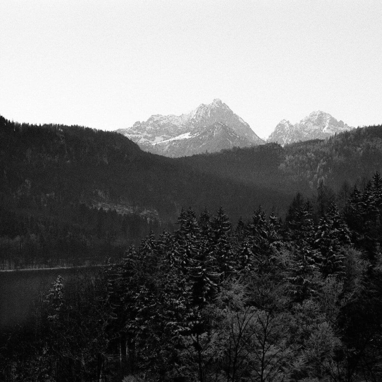 比肩劫财的不同底色。