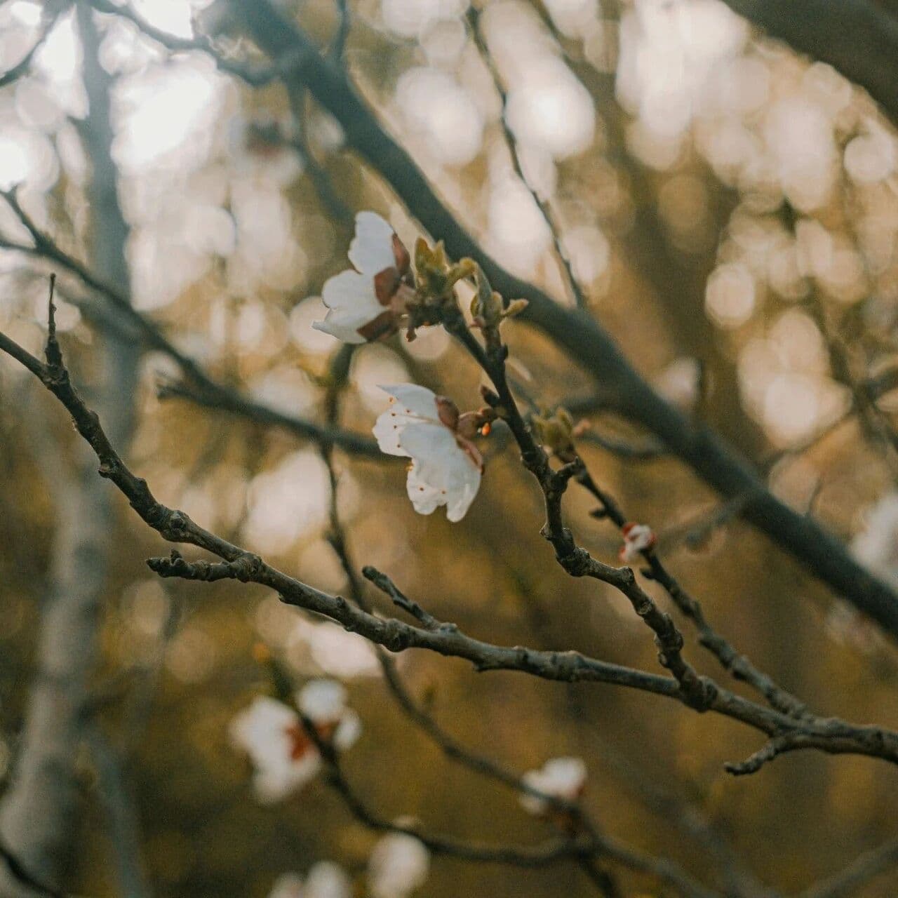 被看见的价值。