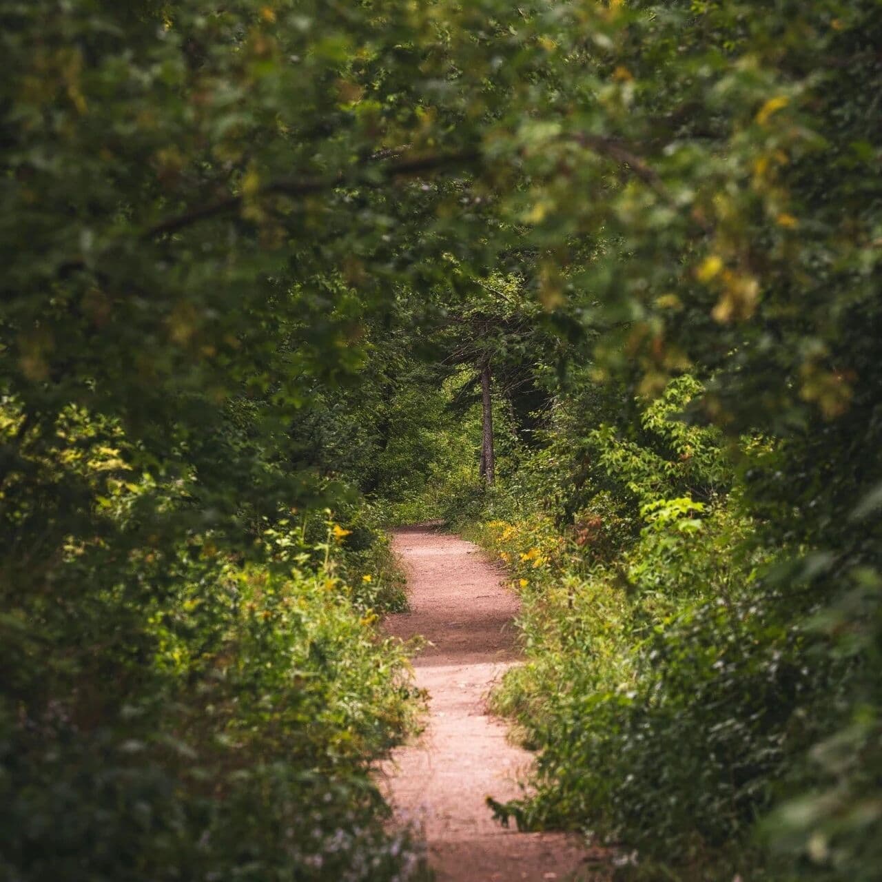从“割韭菜”到“妙明真心”。