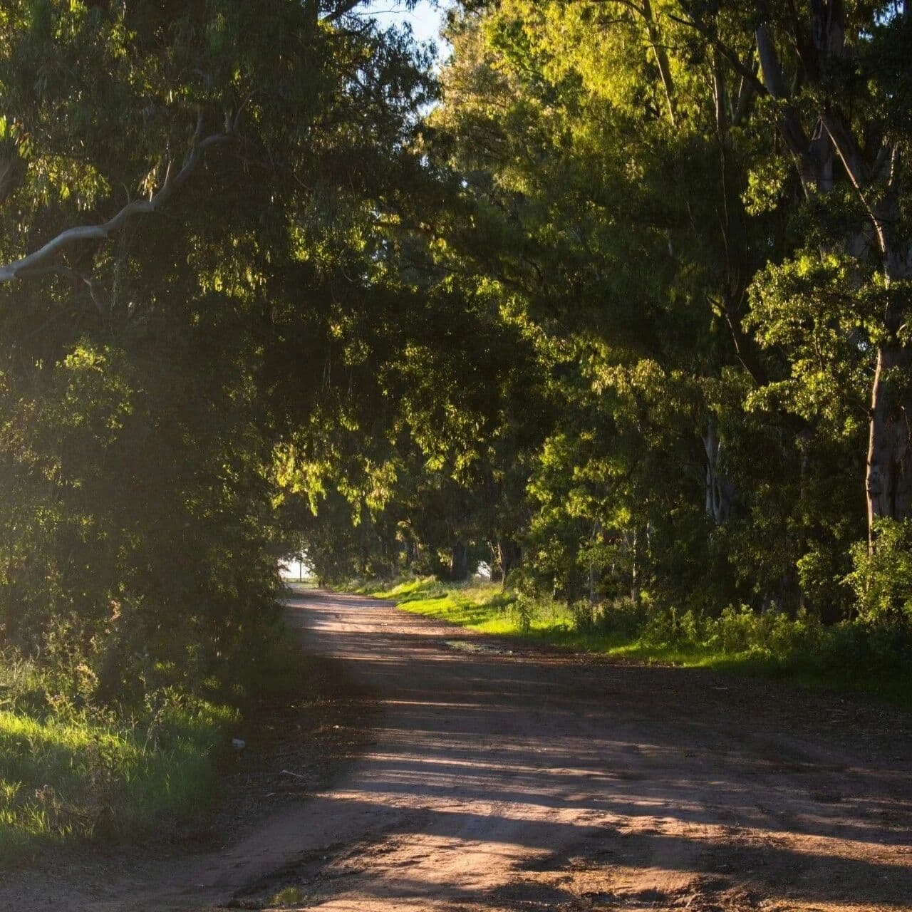 无根破格之害。