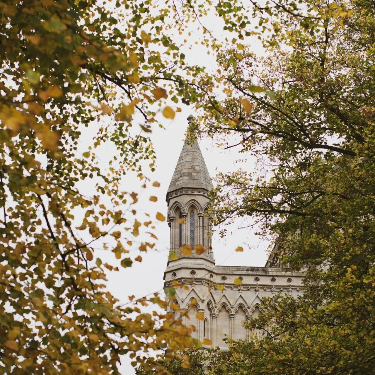 为什么说伤官克夫？