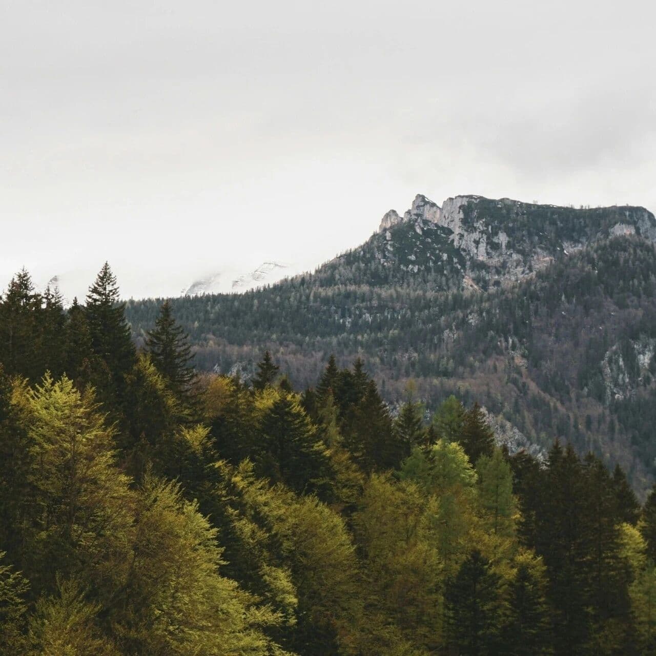 谄媚不一定是粗糙的。