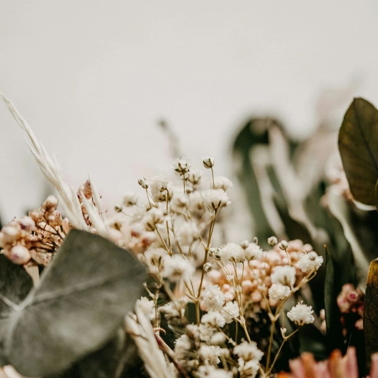 五行的动力学语言。