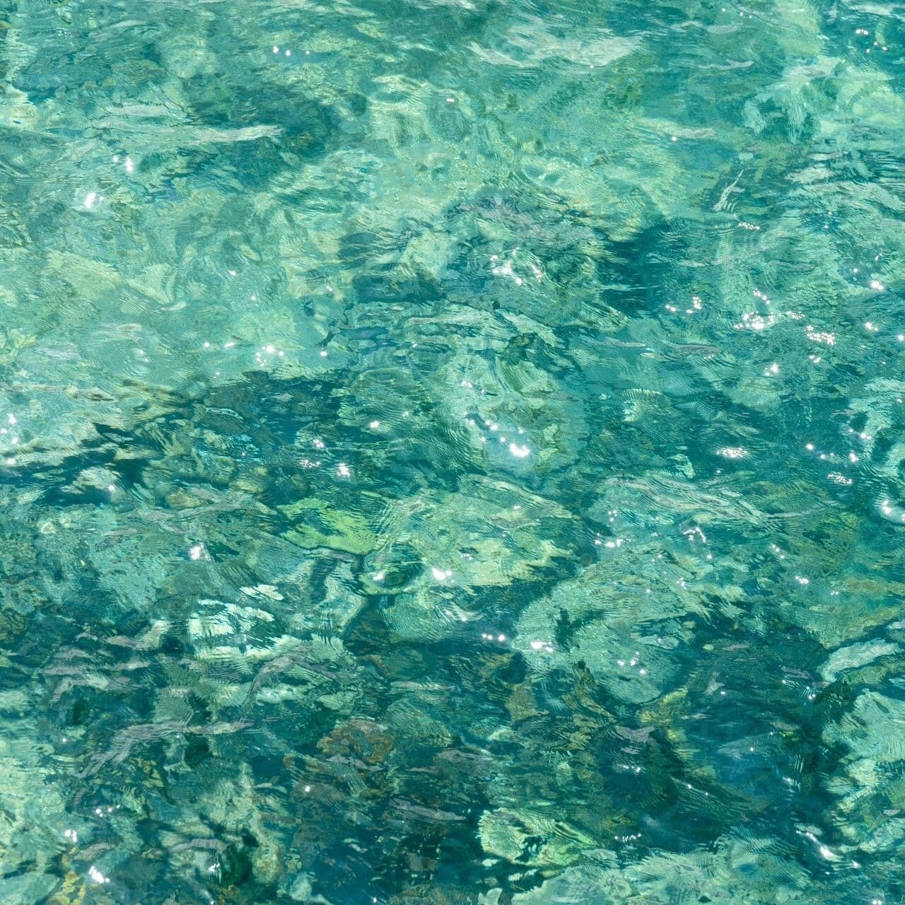 体面人的进退之道。