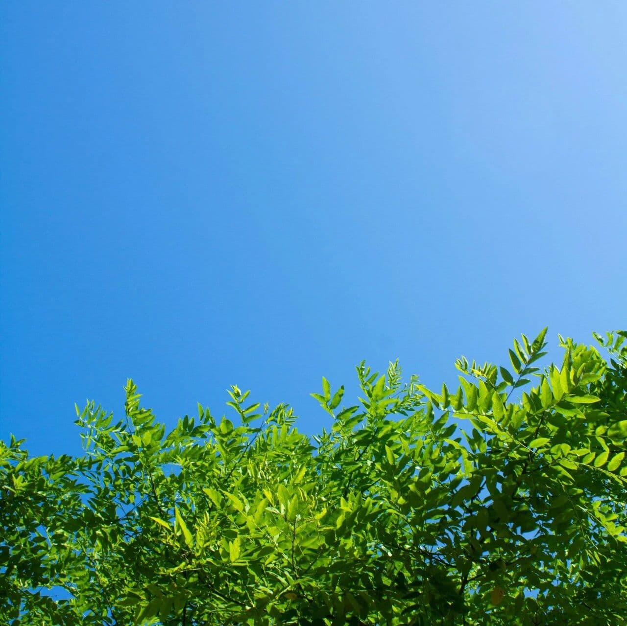 胎元，面相，好运来临的征兆。