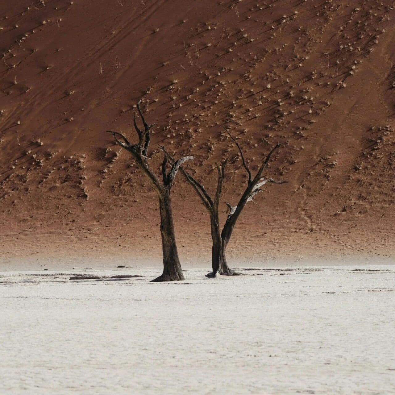 维持我们的秩序！