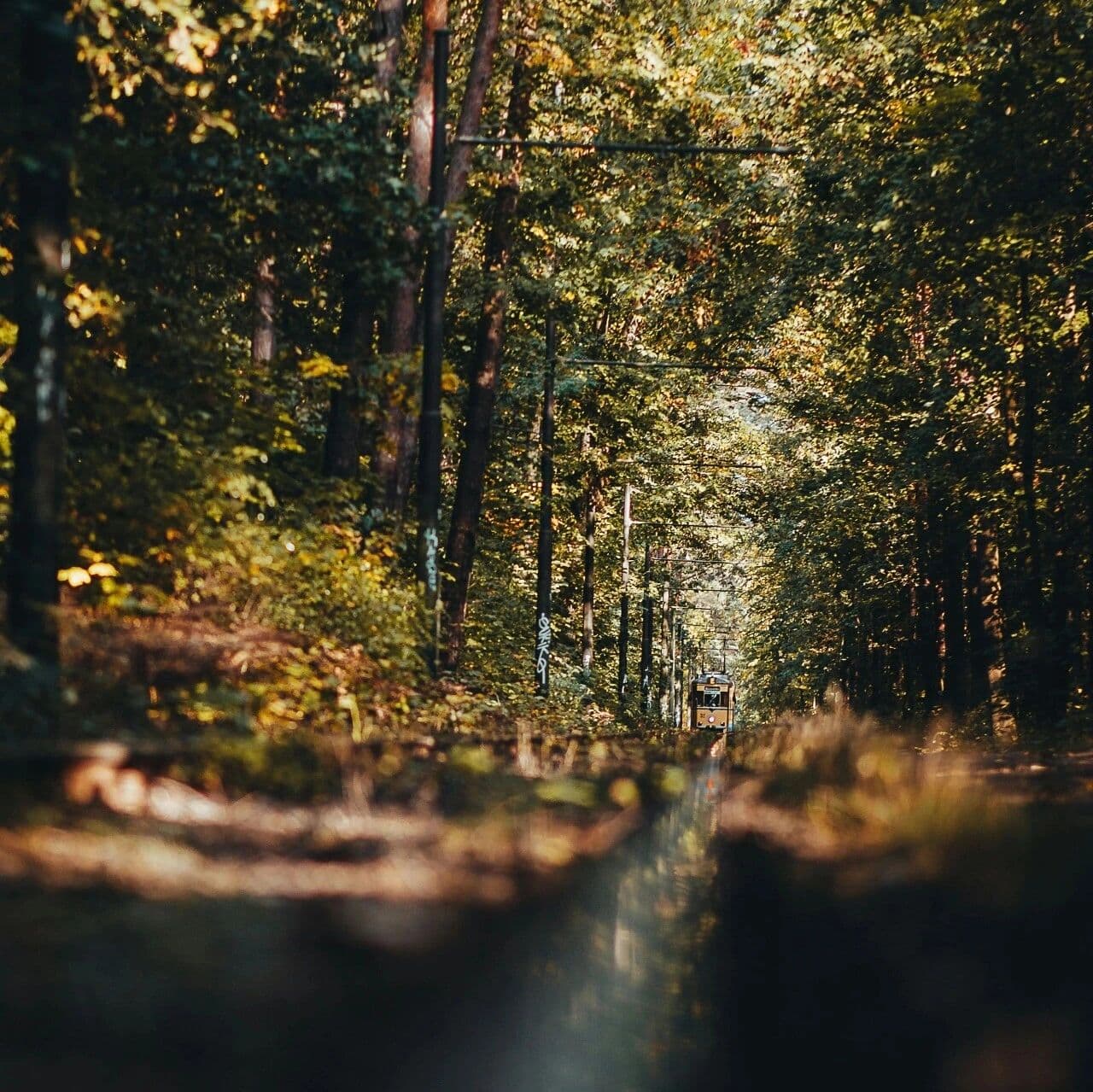 在任何关系里都会喜提低位。