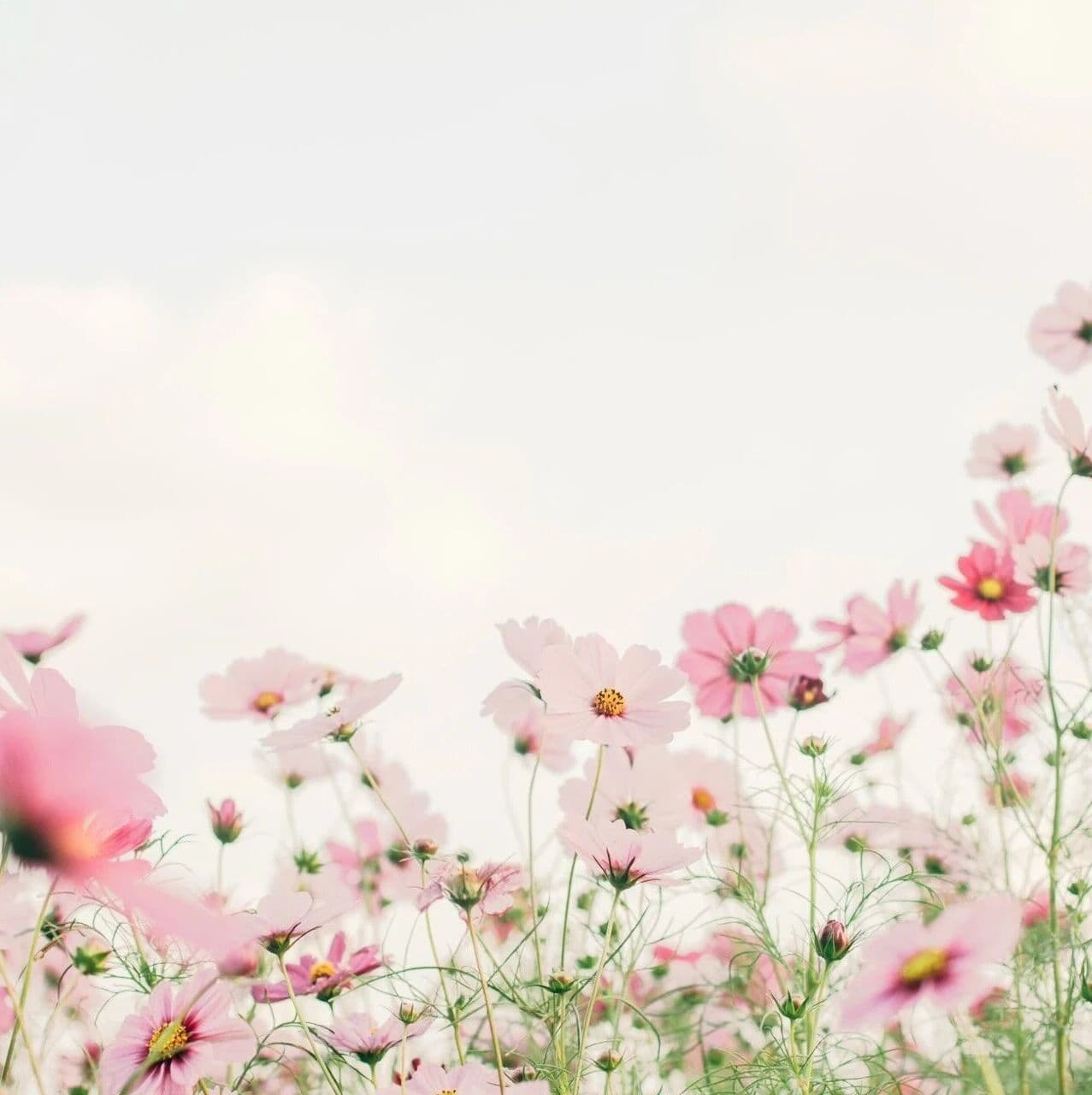 财杀的分寸感，与不被尊重源于频频失态。