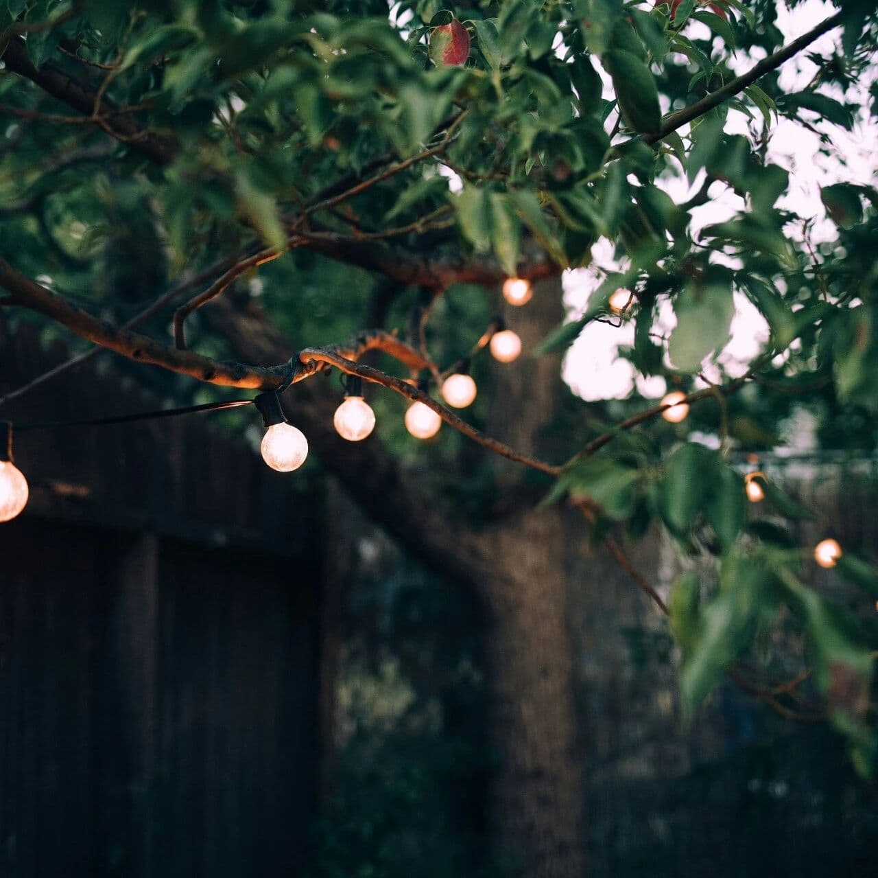 木火之性：论丙丁火。