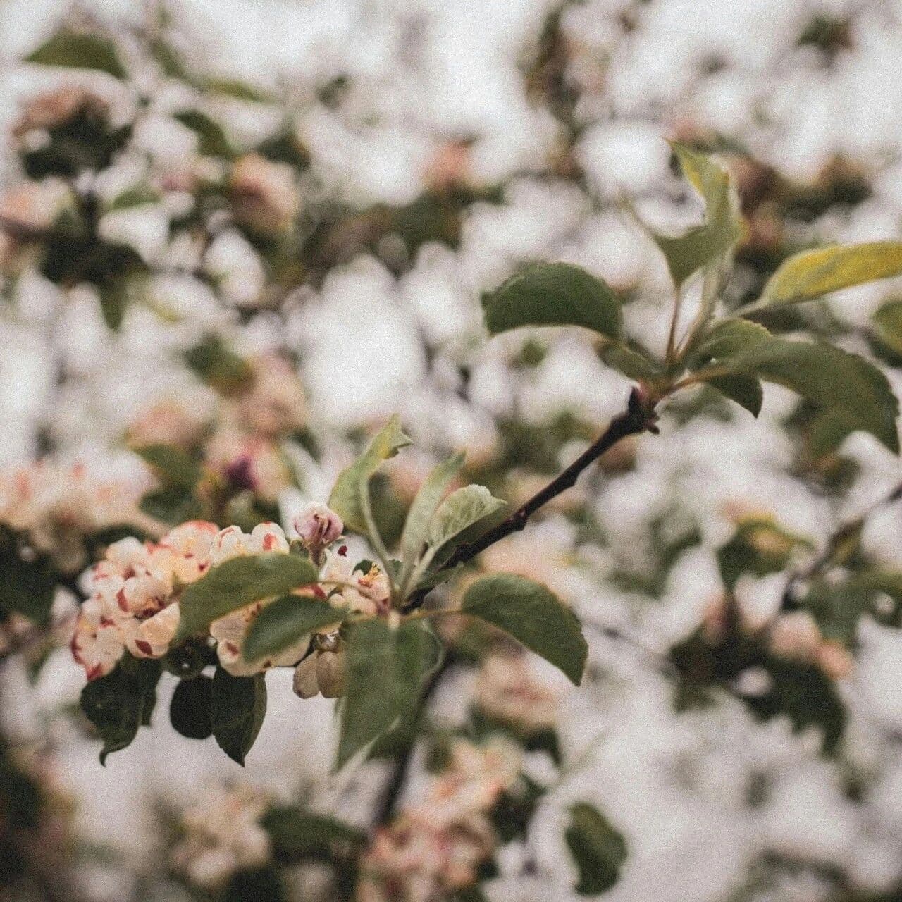 匮乏者的慷慨扮演。