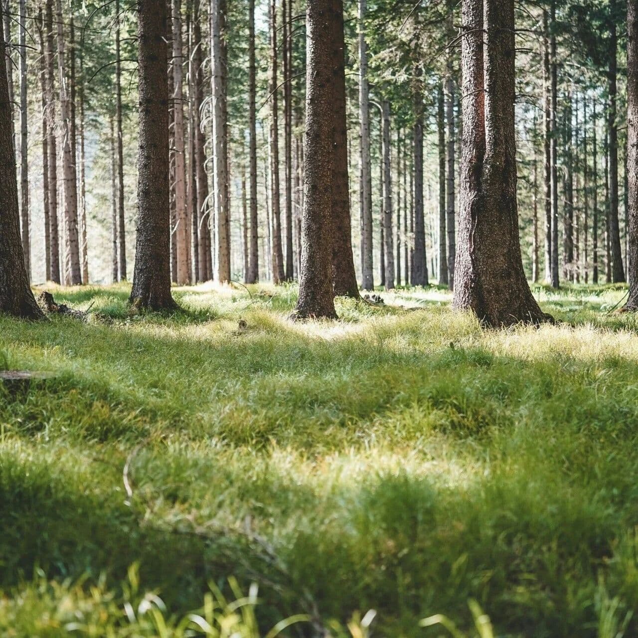相逢有度不逾墙，费力无成枉用忙。