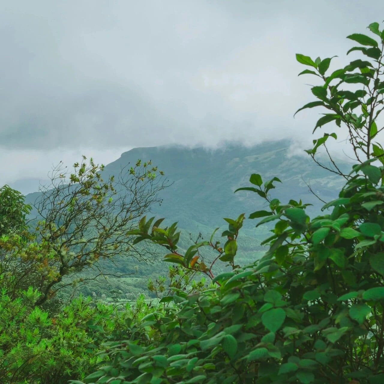审时度势的能力。