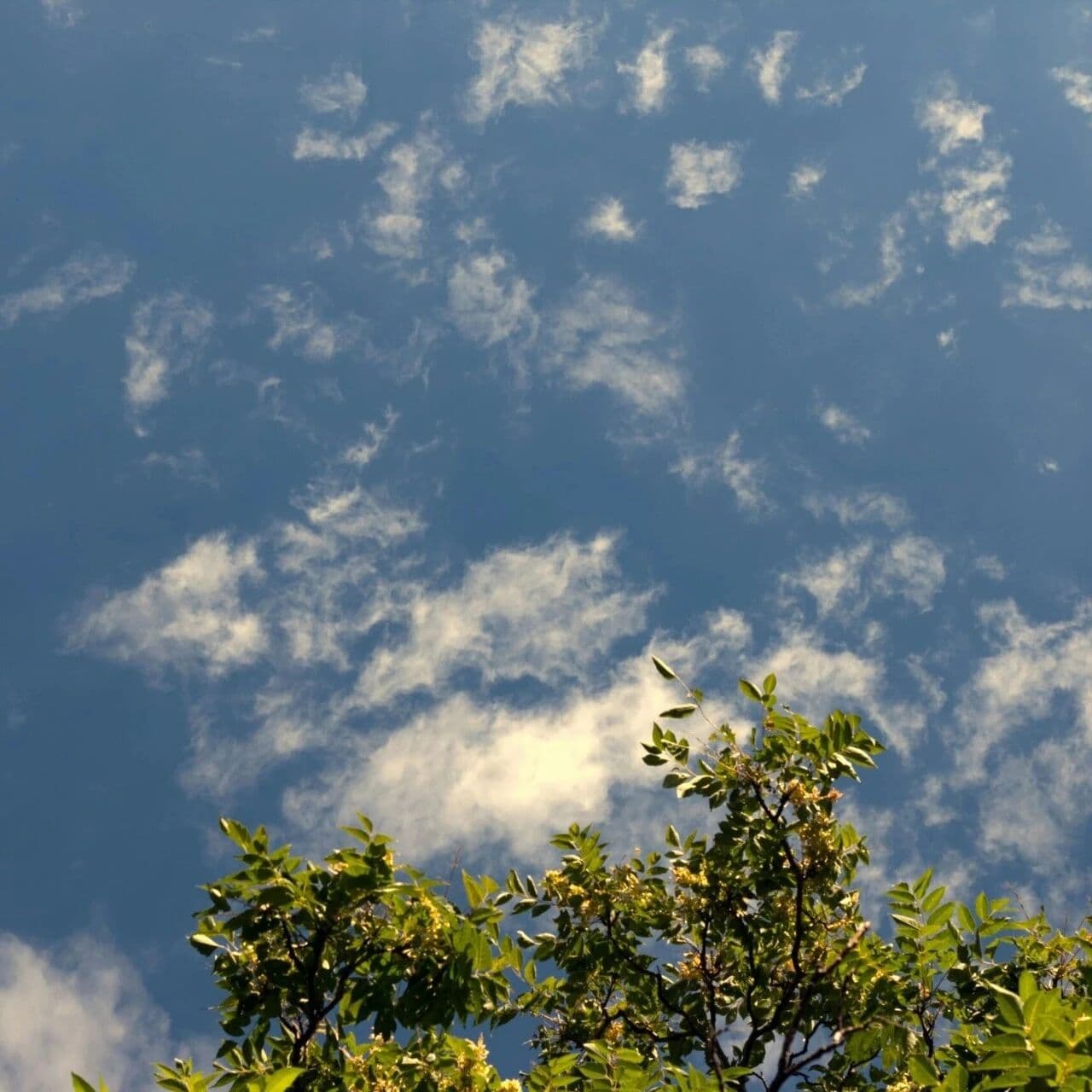 知世故而不世故。