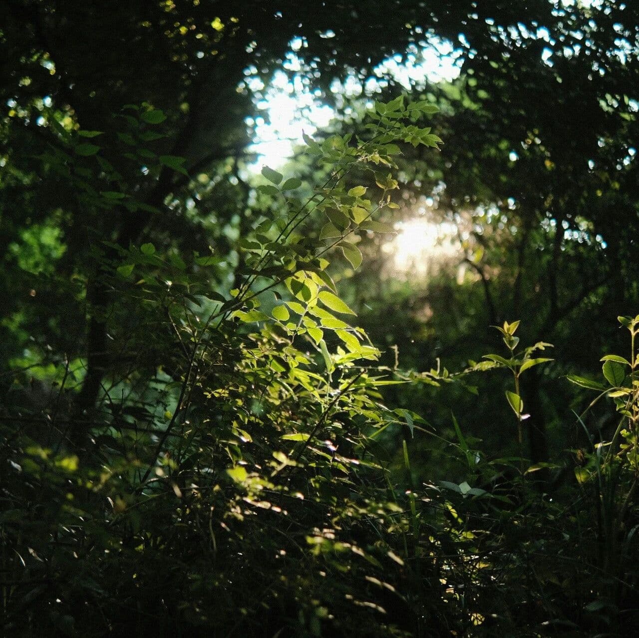 太岁难竞，宿业未央。