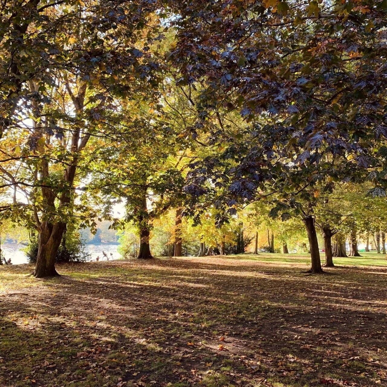 你要懂“时”。