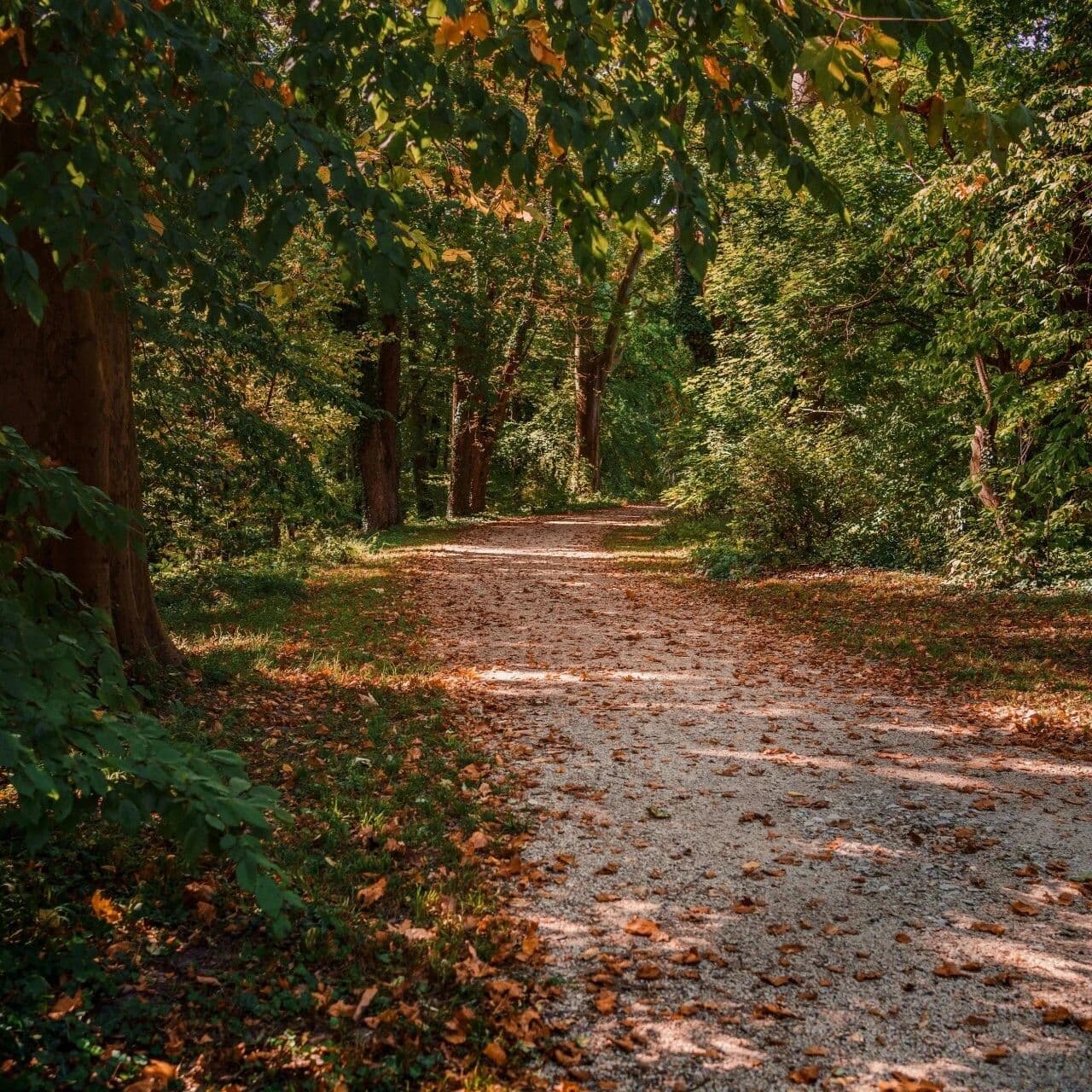 情绪价值的位阶。