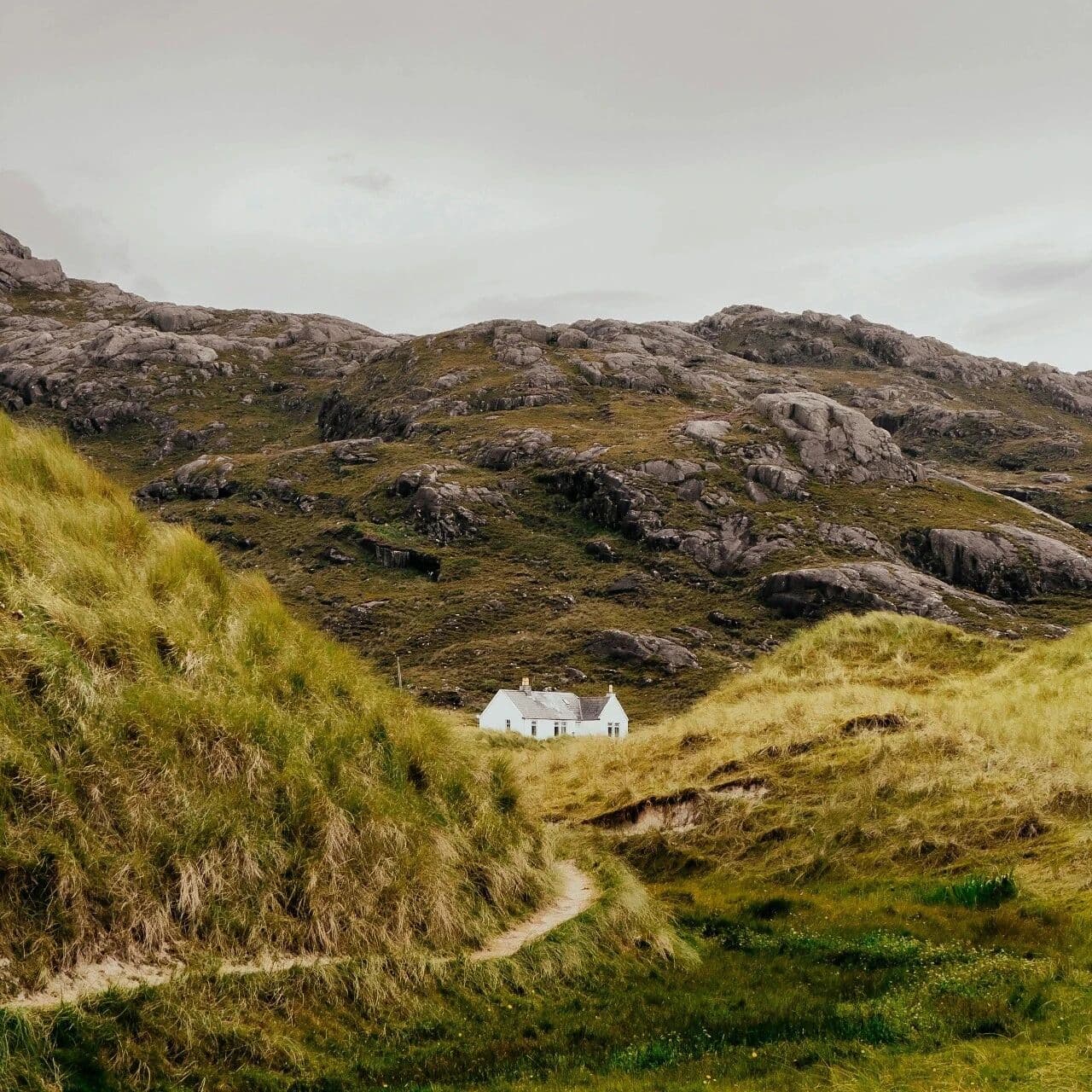 如何从八字看命主得失？