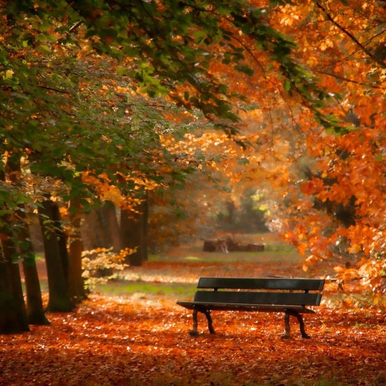 命局里的阴阳之辩。