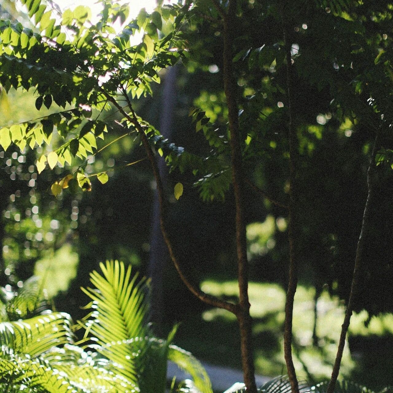 是你想觉得自己很美。